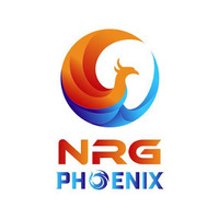 Local Businesses NRG Phoenix Pty Ltd in East Brisbane QLD