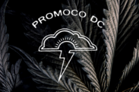 Local Business Promoco DC: Weed & Shroom Delivery in  