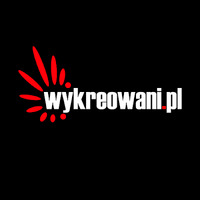 Wykreowani - Agencja reklamowa Łódź | pozycjonowanie stron www