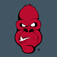 Local Business Service Provider Angry Ape Creative in Indianapolis IN