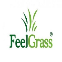 Césped Artificial Feelgrass