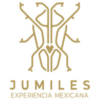 Local Businesses Jumiles in Merida YUC