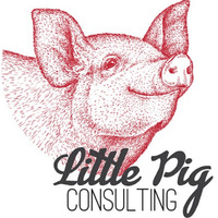 Local Businesses Little Pig Consulting in Toowoomba City QLD