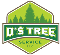 Local Business D's Tree Service in Preston 