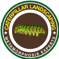 Local Business Caterpillar Landscaping in Orlando 