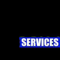 Niche Web Services