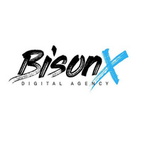 Local Businesses Bisonx - Digital Agency | Software Design and Development in Gjakova 