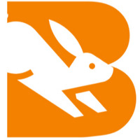 Babbit Website Design