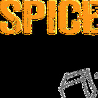 Spice Consulting