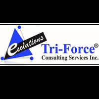 Tri-Force Consulting Services Inc INDIA