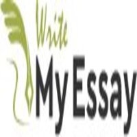 Write My Essay IE