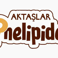 Aktaşlar Pide Durugöl