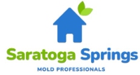 Mold Remediation Saratoga Springs Experts