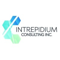 Intrepidium Consulting