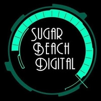 Local Businesses Sugar Beach Digital in St. Petersburg FL