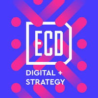 Local Businesses ECD Digital Strategy in Schenectady NY