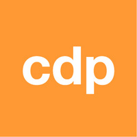 CDP | Construction Marketing Agency