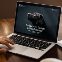 Buddy Web Design & Development