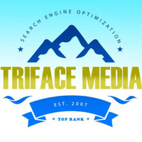 Triface Media SEO