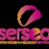 SERSEO Agencia de Marketing Digital