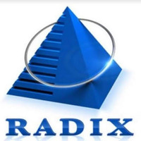 RadixWeb