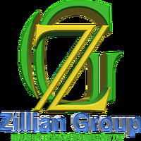 Local Businesses Zillian Group in Toronto ON