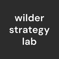 The Wilder Strategy Lab - Marketing, Ai and Website Solutions