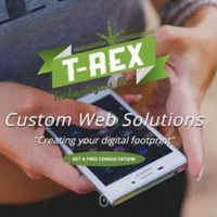 Local Businesses TRex Technologies LLC in Centennial CO