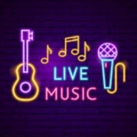 Live Music Junkiez LLC