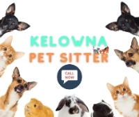 KB Pet Sitter Kelowna
