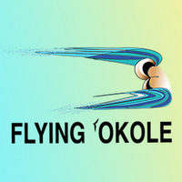 Local Businesses FLYING 'OKOLE • Web Design, Branding, Marketing & Digital Business Strategy in Haiku HI