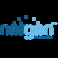 Netgen IT Solutions Private limited