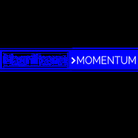 Magnificent Momentum Limited