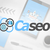 Local Businesses Caseo LTD in Burlington ON