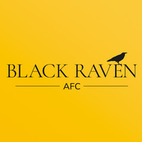 Local Businesses Black Raven AFC | Digital Agency St Louis in Chesterfield MO