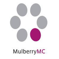 Mulberry Marketing Communications Ltd.