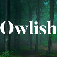 Owlish Agency