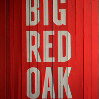 Local Businesses Big Red Oak Marketing & Communications in Toronto ON