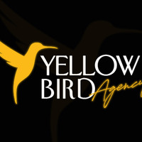 Local Businesses Yellow Bird Agency in Poznań Greater Poland Voivodeship