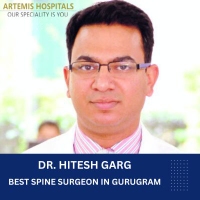 Local Business Best Spine Surgeon Artemis Hospital Gurgaon in Gurugram 