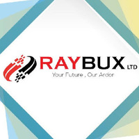 RayBux Ltd