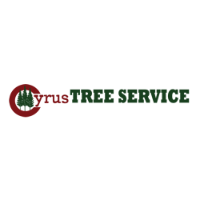 Local Business Cyrus Tree Service in Grass Valley 