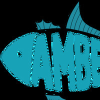 Amberjack Digital Marketing