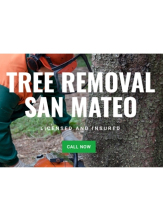 Local Business Tree Removal San Mateo in San Mateo CA