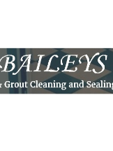 Baileys Cleaning Services Ltd