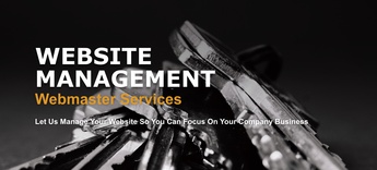 Why Every Business Needs a Website Management Plan