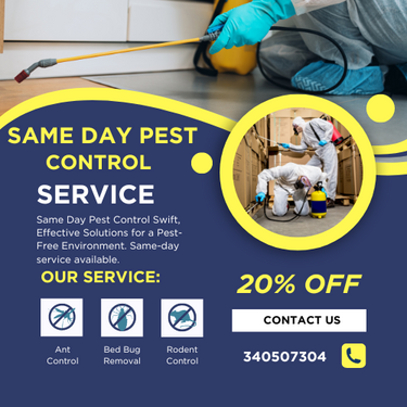Point Cook's Rapid Response: Same Day Pest Control Services