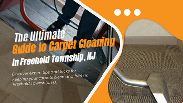 The Ultimate Guide to Carpet Cleaning in Freehold Township, NJ