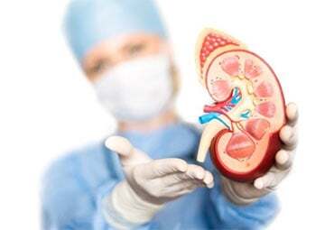 Top Nephrology Doctors In Downtown, Brooklyn NY