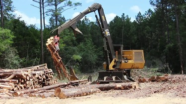 Are You Searching for a Reliable Timber Harvester in Vermont?